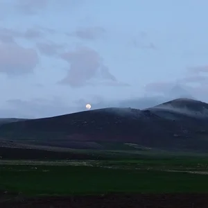 علی محمدی آسایش