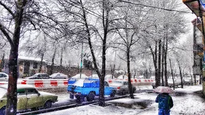 بیمه آسیا