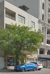 قصر شیرینی شاخه نبات 2