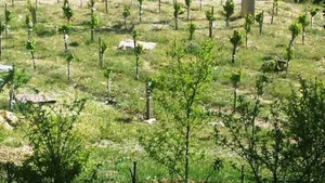اراضی منابع طبیعی