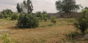 خانه باغ حمداله آبروشن