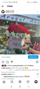 گل فروشی آراگل 4