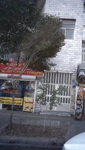 لوازم یدکی پرشین لنت 2