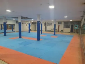 باشگاه ورزشی شاهد 2