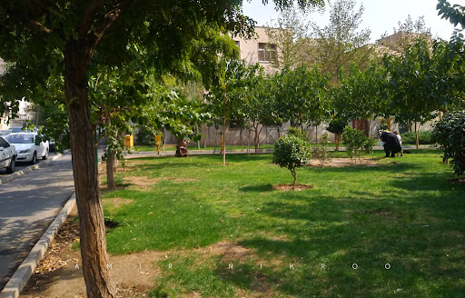 بوستان ماهان