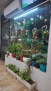 کافه هپی 4