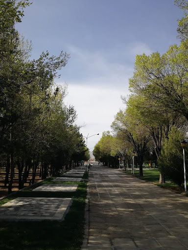 پارک آزادگان