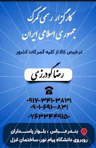دفتر کارگزاری گمرک رضا گودرزی