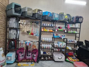 کلینیک دامپزشکی پیوت | PVet Veterinary Clinic 4