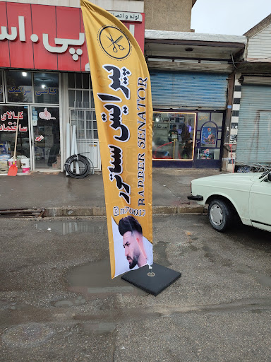 پیرایش سناتور