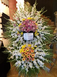 گل سهرابی - flower shop