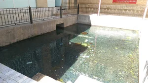 چشمه اسکندریه