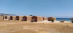 SAYAL Camp South-Sinai