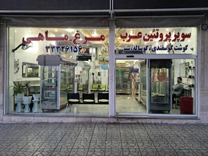 سوپر پروتئین عرب 2