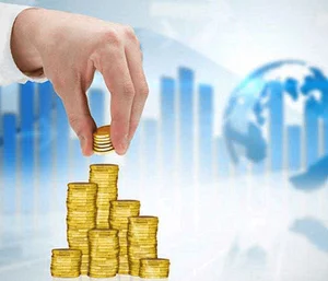 سرمایه گذاری کوتاه مدت - نیپوتو مگ