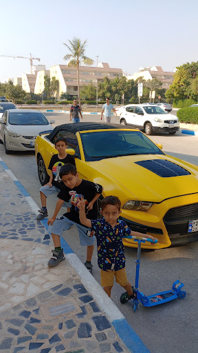 سفر رو ایرانیان