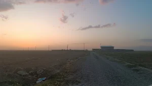 گلخانه توت فرنگی جلالوند