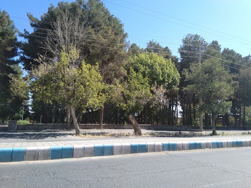 بوستان بانوان
