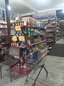 پخش موادغذایی میگردی