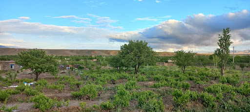 باغ مهدی رباطی