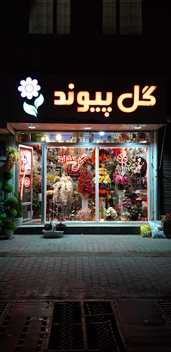 گل‌فروشی پیوند