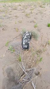 مزرعه عبدالله يحيى عايش مشهور