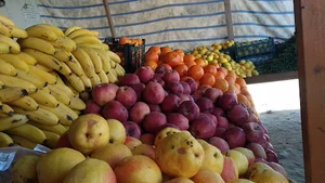 میوه فروشی علی شیر