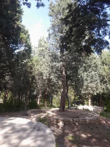 بوستان جنگلی زرقان