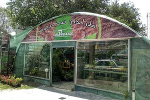 گل و گیاه طراحان سبز آبنوس