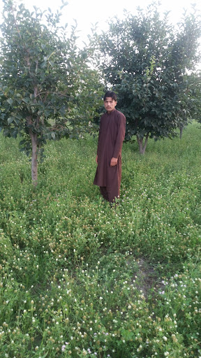 Noor Gul katakhel Home