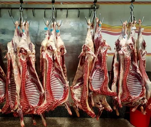 الایش دل افروز