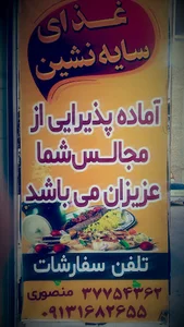 تهیه غذای سایه‌نشین