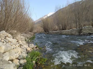 ونایی