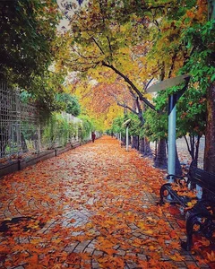 دفتر وکالت وادی خیل