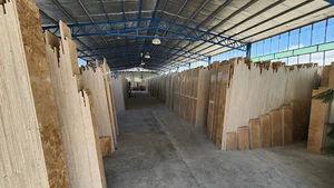 ثمین سنگ