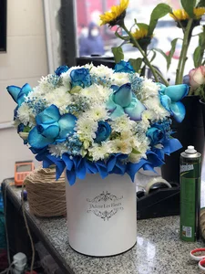 فروشگاه مهرگان