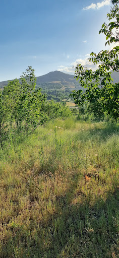 ایران نورآباد زیبا
