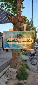 عکاسی شاهد