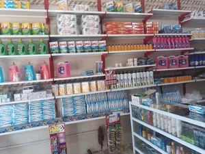 فروشگاه شوینده بهداشتی ارکیده