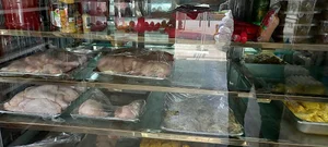 شهر پروتئین قبادی