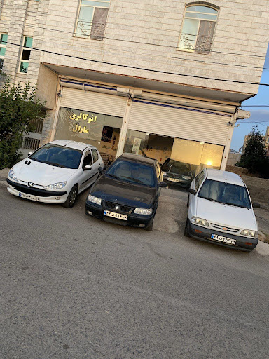 Auto maral
