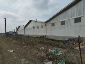 پرورش ماهی خاویاری چالباش کاسپین