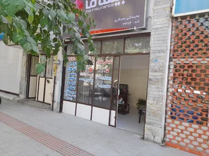 بیمه ما ماندگاری نظری