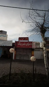 دنیای بلبرینگ 2