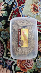 پشت زیک خانگی بی تا