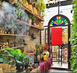 گلخانه گیاچی 2