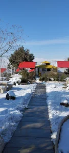 کافه رستوران ژینو