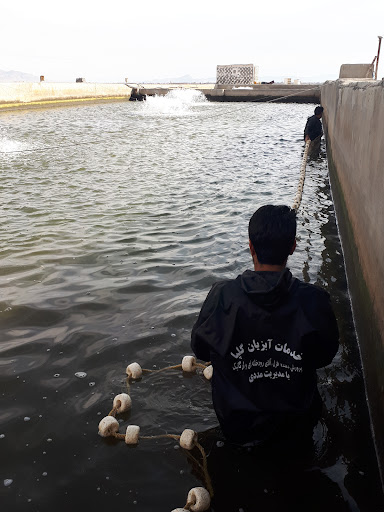 استخر پرورش ماهی سردار.