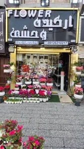 گل فروشی ارکیده وحشی (نوری)