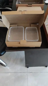 کارتن ماهنشان صفادشت